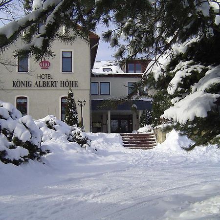 Hotel Koenig Albert Hoehe Rabenau Экстерьер фото